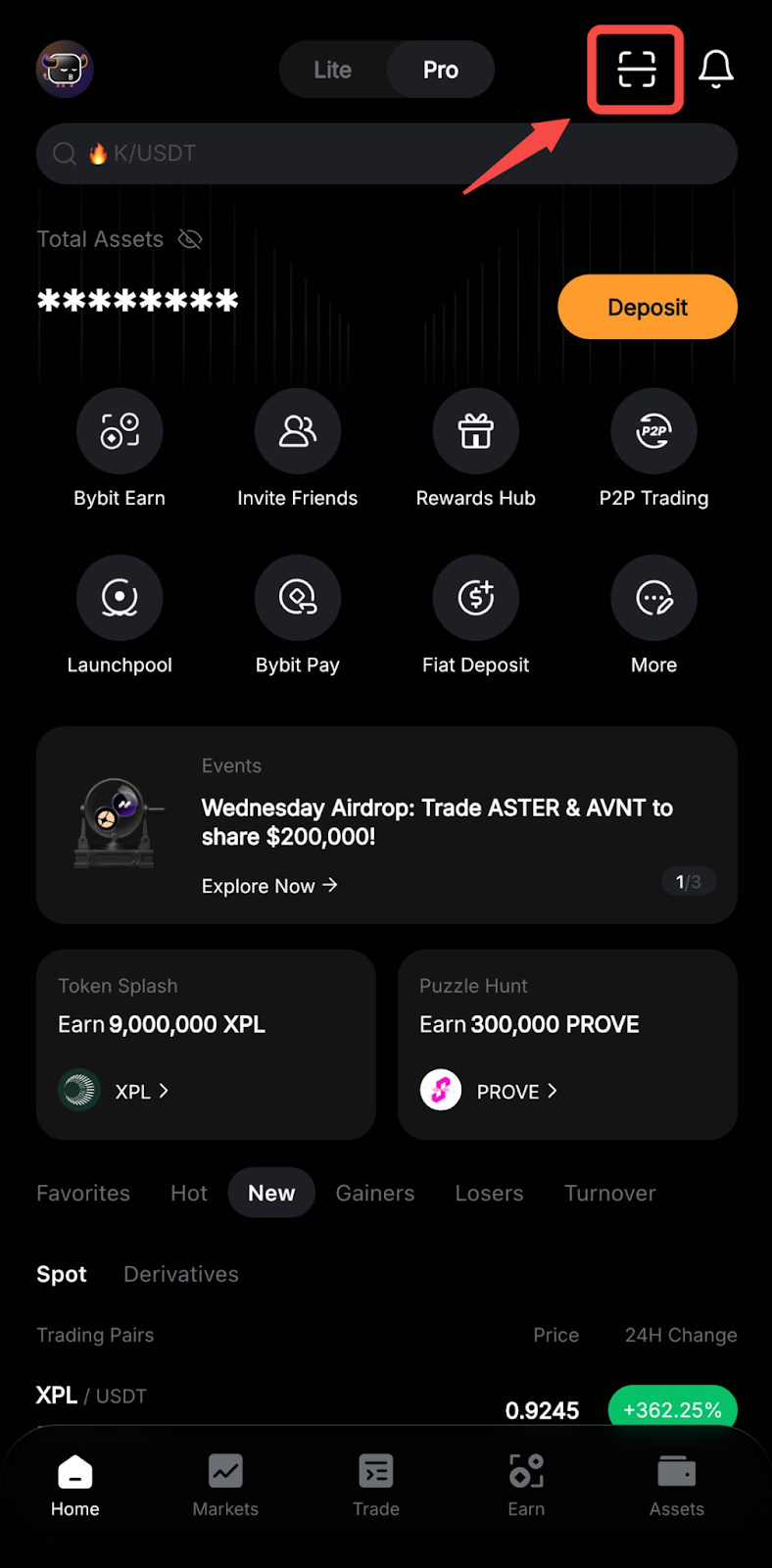 How to Send Payment