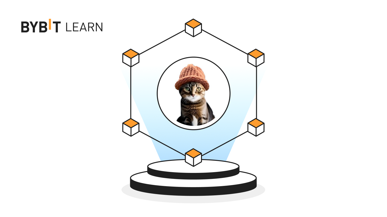 Catwifhat (CWIF): Sharing the Throne With Dogwifhat (WIF) on Solana ...